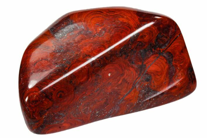 Polished Stromatolite (Collenia) - Minnesota #104436